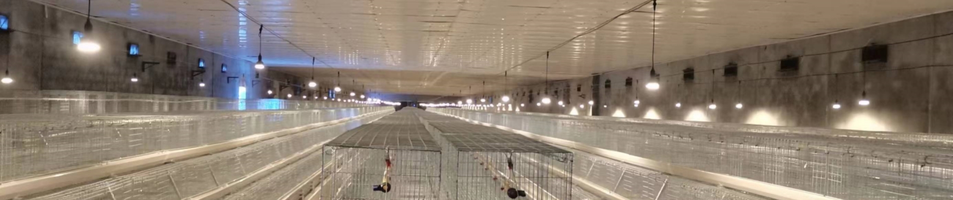 LED Smart Lighting Control System for Poultry Farms