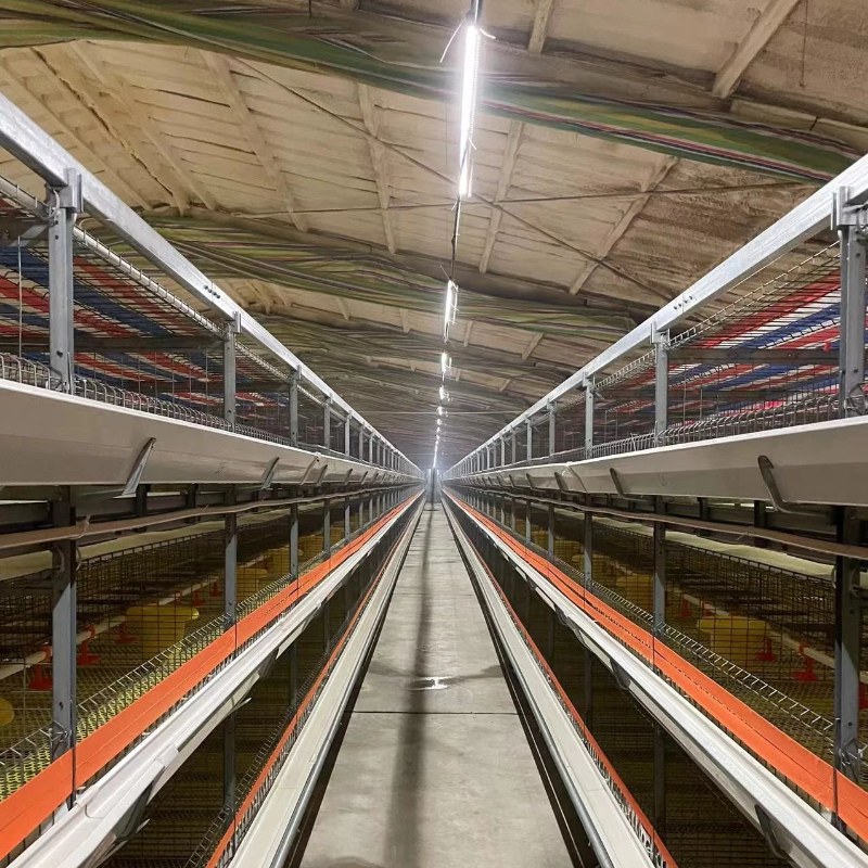 The three months experimental test of T5 LED poultry light tube in Fujian two cage broiler farm had been completed and accepted