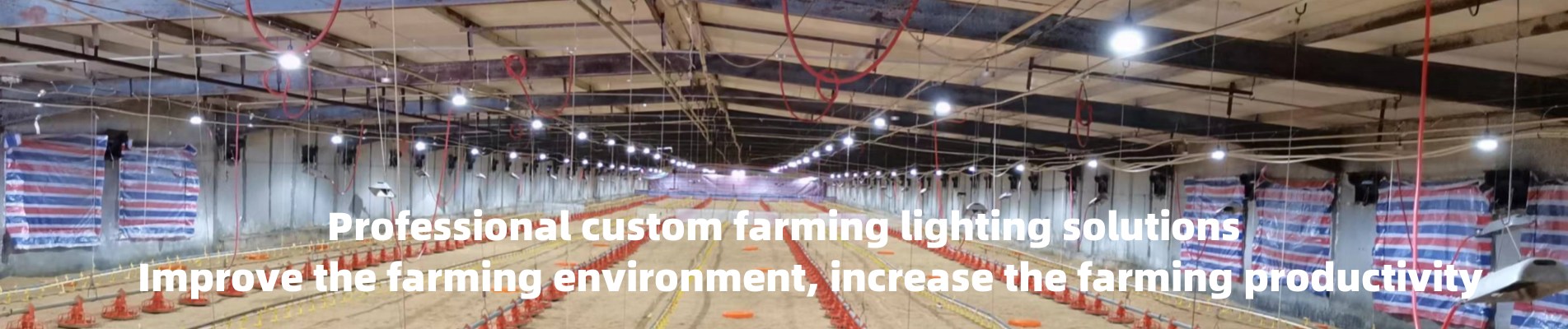 LED Smart Poultry Lighting Products Manufacturer