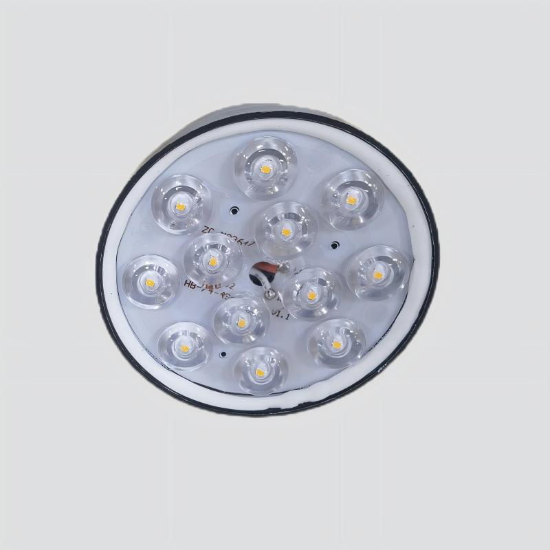 IP67 LED poultry light bulb